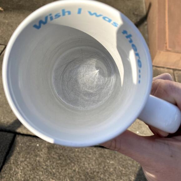 Disney Parks Walt Disney World Four Parks I Wish I Was There Postcard Coffee Mug - Picture 6 of 7